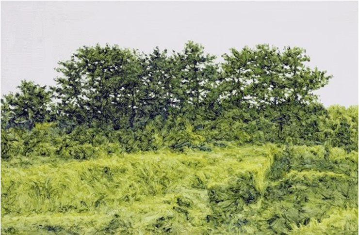 20170613_003.gif